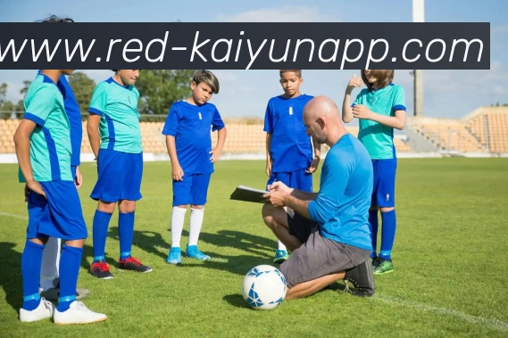 开云体育平台生态图